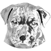 Dog Head