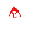 Wrestling