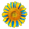 Ukraine4