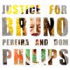 Justice pour Bruno et Philips