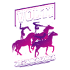 Mädchen Voltigieren Volti
