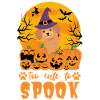 Cute Poodle Halloween Costume Dog