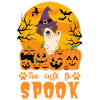 Deutsch Pointer Halloween Costume Dog