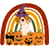 Mignon Beagle Halloween Costume Chien