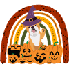 Bulldog anglais Halloween Costume Chien