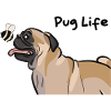 Pug Life
