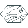 Diamond cardinal bird