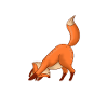 Yoga Fox