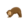 Yoga Sloth