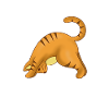 Yoga Cat