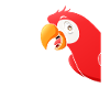 Funny Parrot Bird Parrot Spying