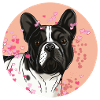 French Bulldog T-shirt.