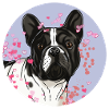 French Bulldog T-shirt.