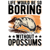 Opossum Gift Possum Pouch Rat