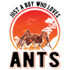 Ants Young anthills Fire ants