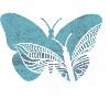 I love butterfly