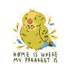 Budgie Bird Owner Bird Cockatiel