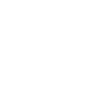 Bullshit