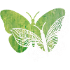 I love butterfly