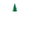 PRESENT