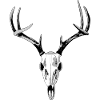 oh deer