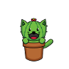 Kawaii Cactus Chat Chaton Succulents