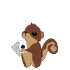 Poker Eichhörnchen Nagetier Tier