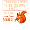 Short attention squirrels