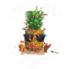 Noël ananas en été