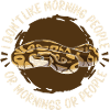 Boa Constrictor Serpent