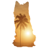 Sommerstrand - Australischer Schäferhund
