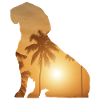 Summer beach - sniffer dog