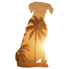 Summer Beach - Boxer