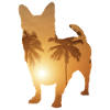Summer Beach - Chihuahua