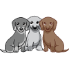 Drei Hunde