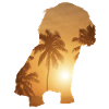 Plage d’été - Kavalier
