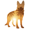 Sommerstrand - Deutscher Schäferhund