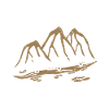 Camping Home Caravan