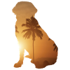 Summer Beach - Labrador Retriever