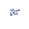 Koala bear