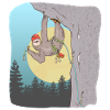 Sloth rock climbing Faultier-Klettern