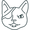 angry pirate cat face