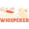 Rabbit Rabbit