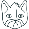 Chat Moustache malheureux chat