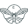 Night moon moth with eyes