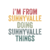 Sunnyvalle things city