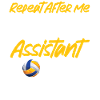 Volleyball Player Team Assistant
