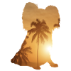Summer beach - Papillon