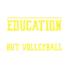 Volleyball Player Team Education