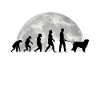 Kuvasz Evolution Moon